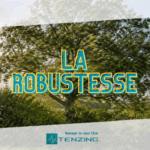 La robustesse en entreprise : l’avenir se prépare autrement
